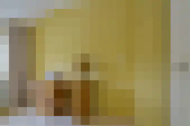 Stuiverstraat 17 Eindhoven thumbnail 20