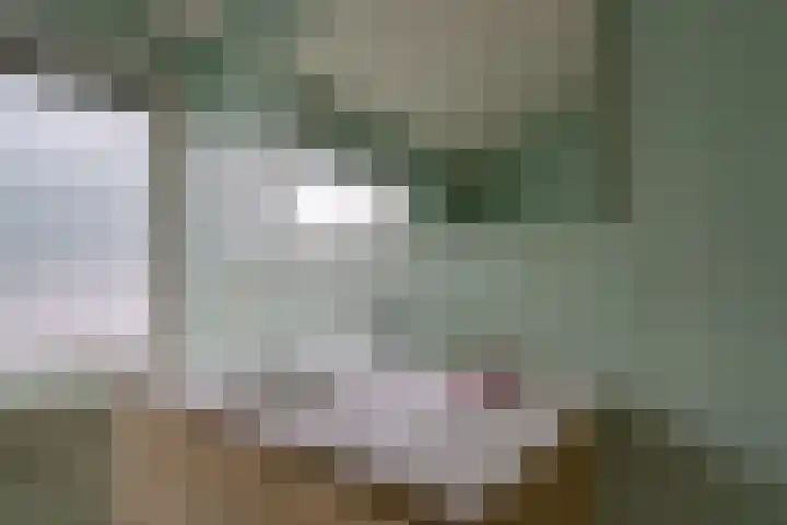 Stuiverstraat 17 Eindhoven thumbnail 24