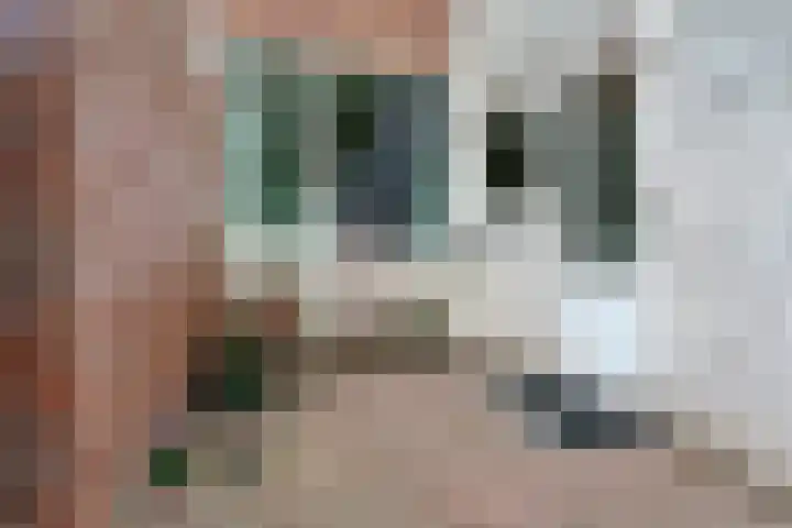 Stuiverstraat 17 Eindhoven thumbnail 37