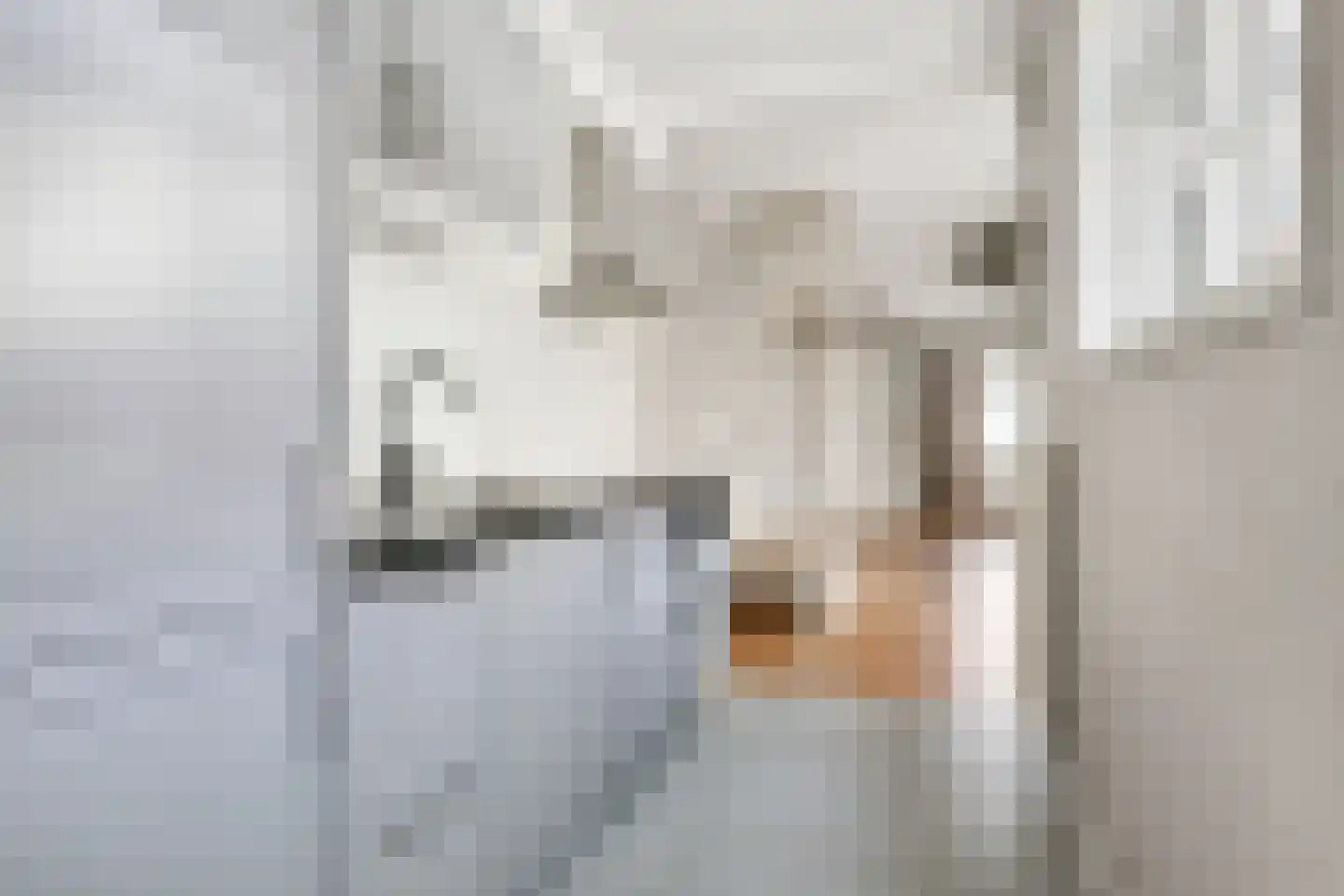 Stuiverstraat 3 Eindhoven thumbnail 24