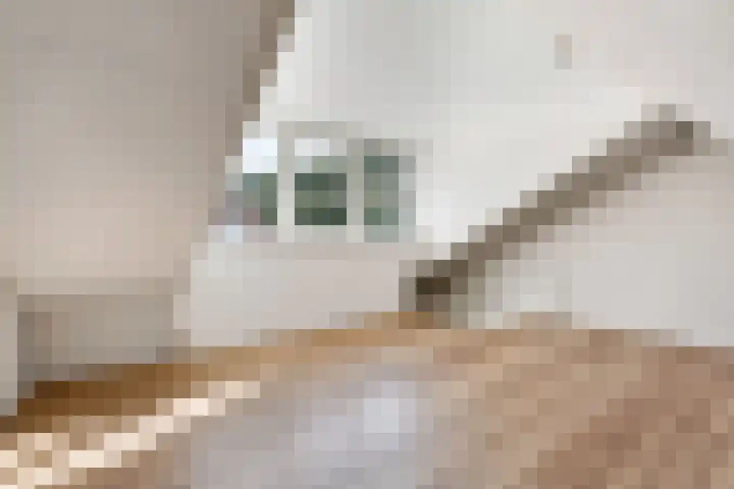 Stuiverstraat 3 Eindhoven thumbnail 6