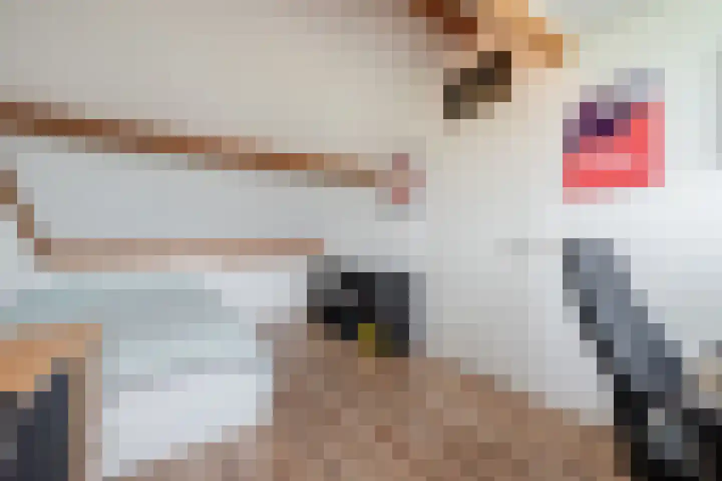 Stuiverstraat 62 Eindhoven thumbnail 32