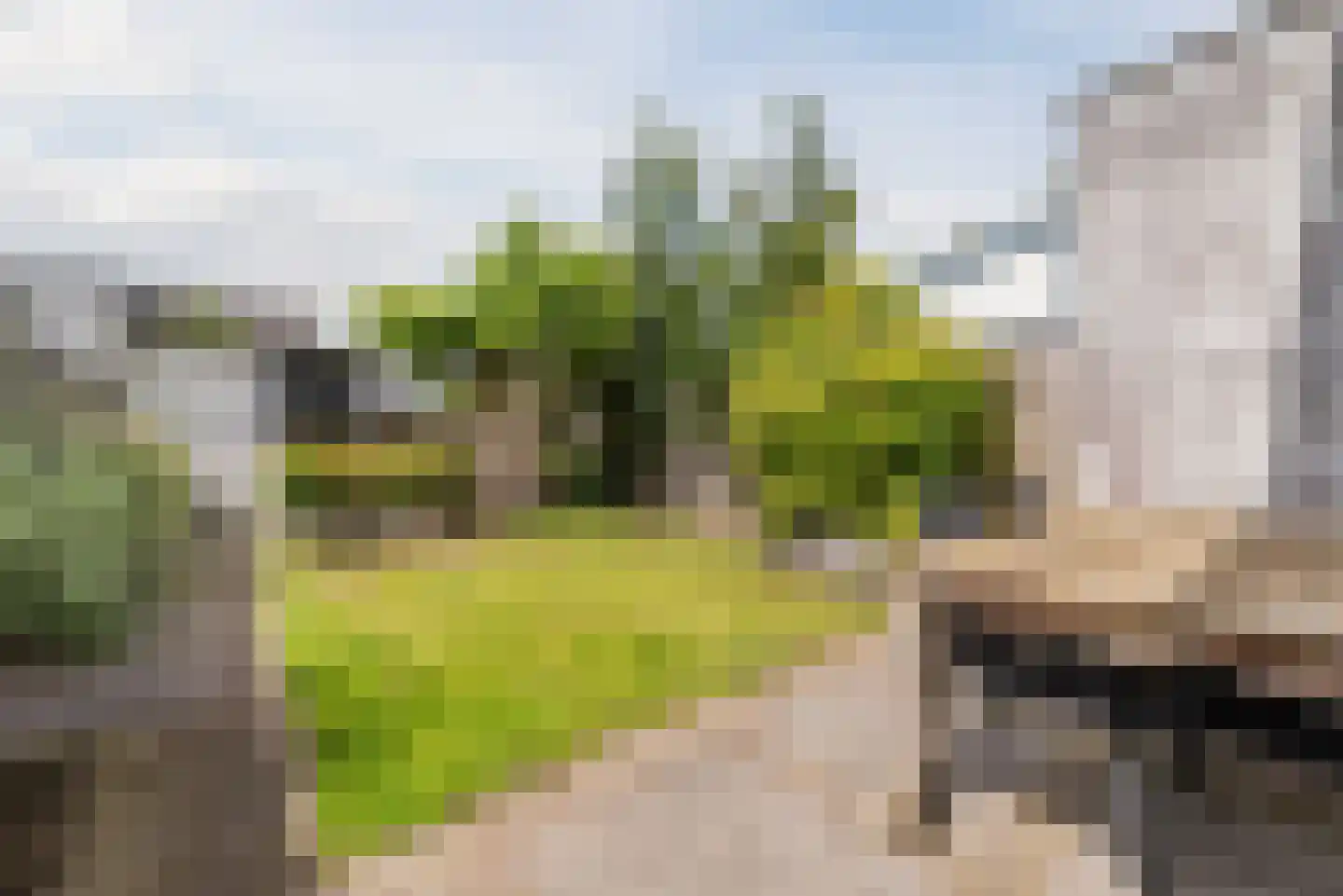 Stuiverstraat 62 Eindhoven thumbnail 35