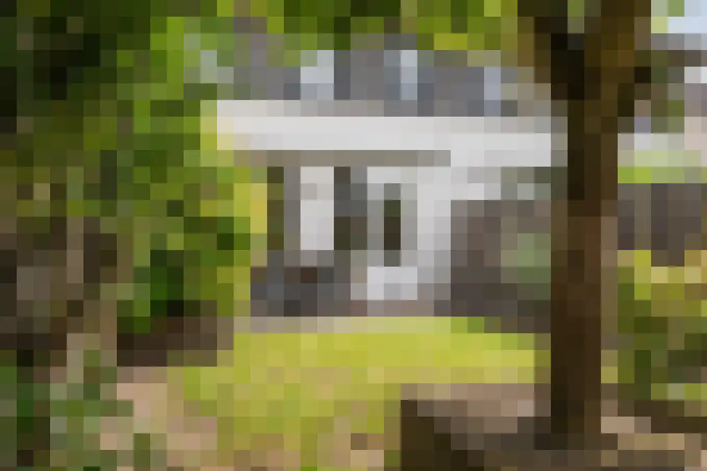 Stuiverstraat 62 Eindhoven thumbnail 39