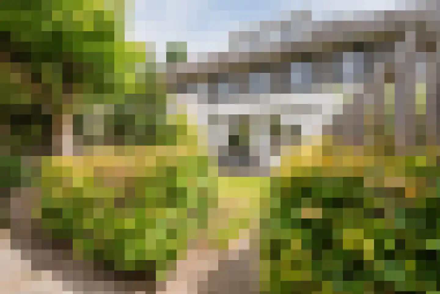 Stuiverstraat 62 Eindhoven thumbnail 4