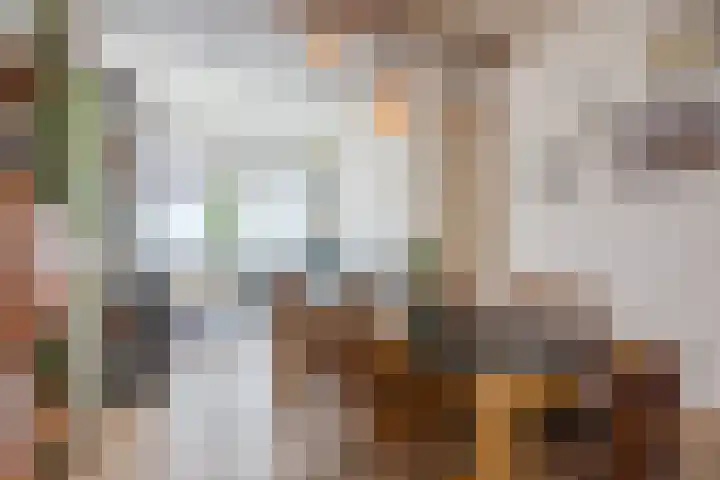 Stuiverstraat 74 Eindhoven thumbnail 10