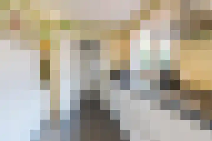 Stuiverstraat 74 Eindhoven thumbnail 12