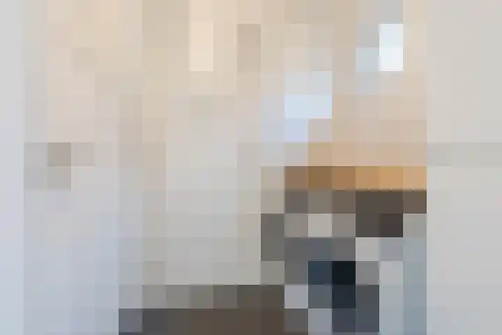 Stuiverstraat 74 Eindhoven thumbnail 17