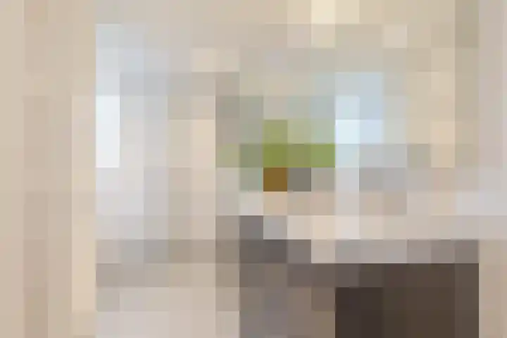 Stuiverstraat 74 Eindhoven thumbnail 31