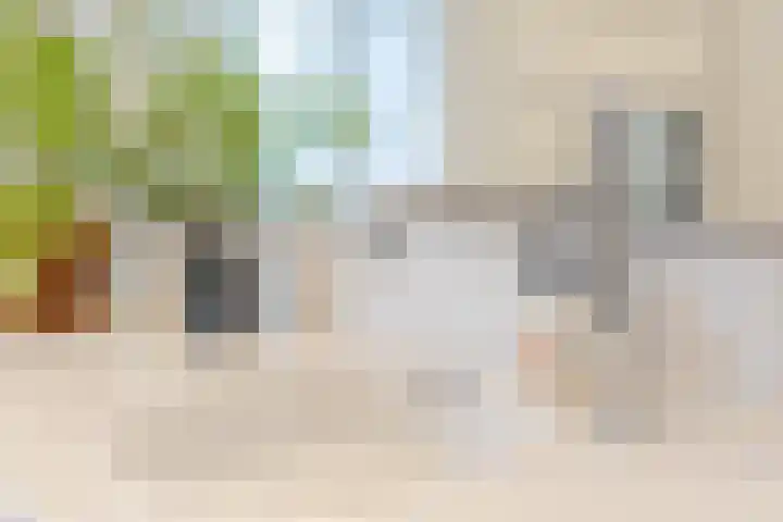 Stuiverstraat 74 Eindhoven thumbnail 32