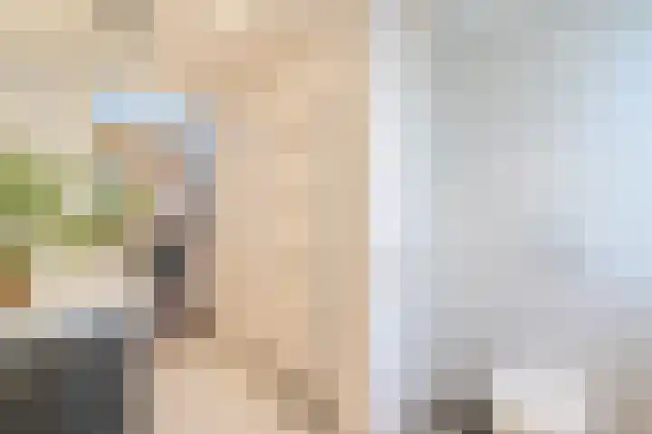 Stuiverstraat 74 Eindhoven thumbnail 34