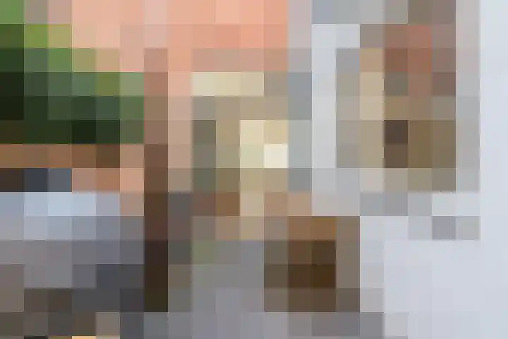Stuiverstraat 74 Eindhoven thumbnail 37
