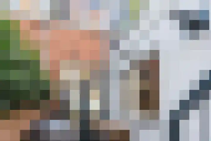 Stuiverstraat 74 Eindhoven thumbnail 38