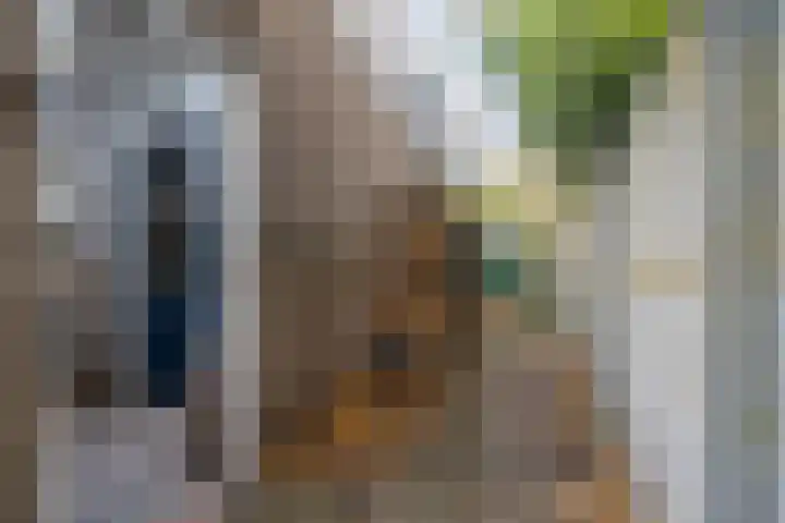 Stuiverstraat 74 Eindhoven thumbnail 46