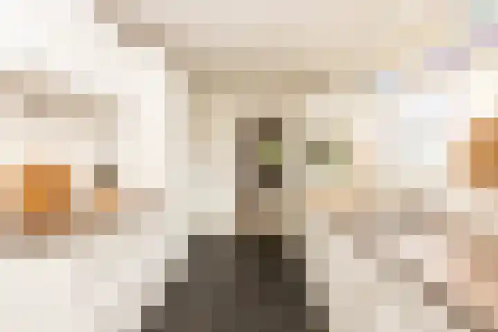 Stuivesantplein 22 Tilburg thumbnail 10