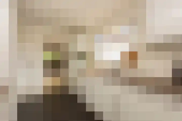Stuivesantplein 22 Tilburg thumbnail 11