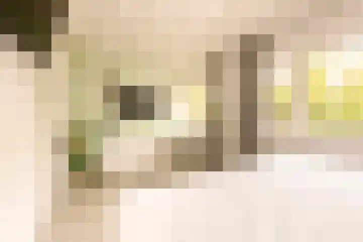 Stuivesantplein 22 Tilburg thumbnail 16
