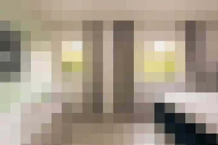Stuivesantplein 22 Tilburg thumbnail 18