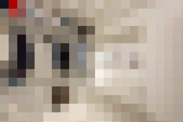 Stuivesantplein 22 Tilburg thumbnail 19