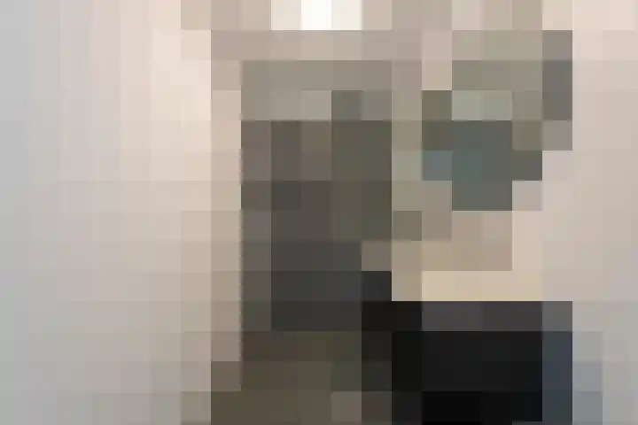 Stuivesantplein 22 Tilburg thumbnail 21