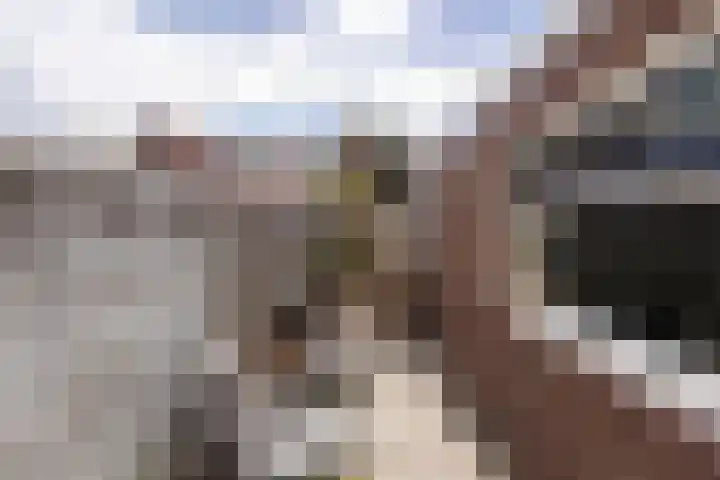 Stuivesantplein 22 Tilburg thumbnail 28