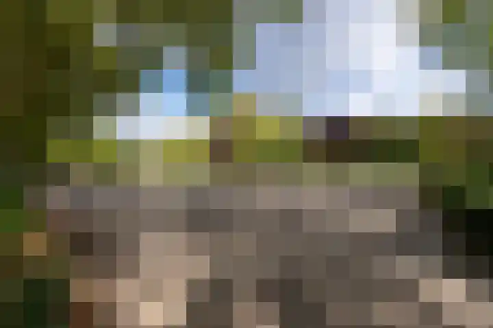 Stuivesantplein 22 Tilburg thumbnail 33