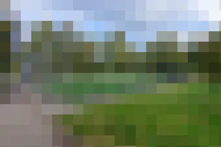 Stuivesantplein 22 Tilburg thumbnail 34