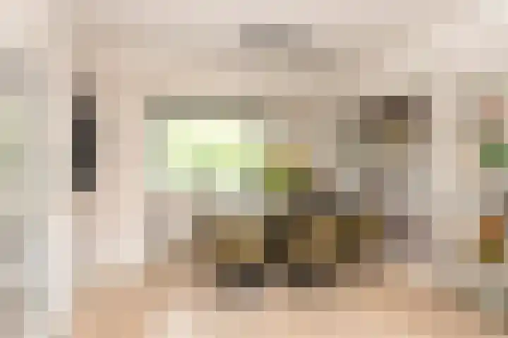 Stuivesantplein 22 Tilburg thumbnail 6