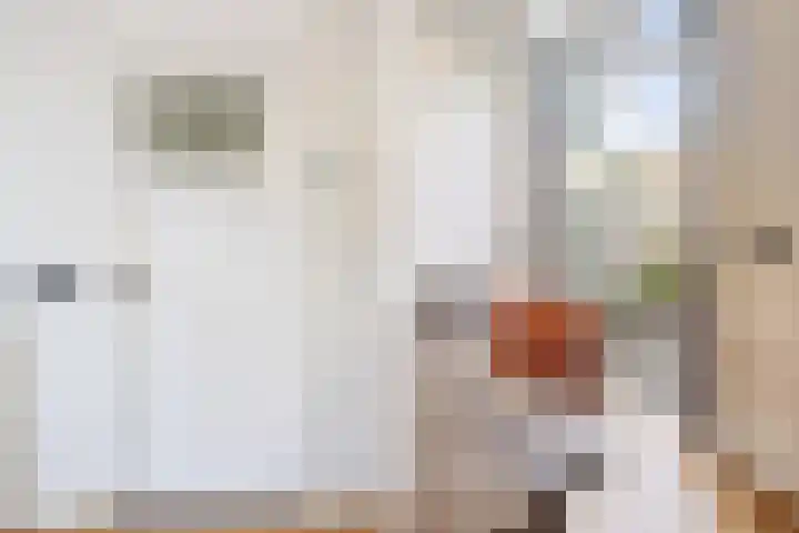 Stuivesantplein 7 Tilburg thumbnail 10