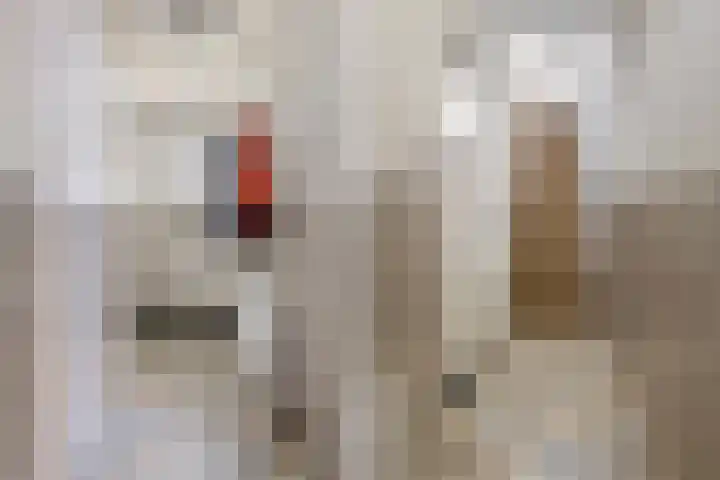 Stuivesantplein 7 Tilburg thumbnail 15