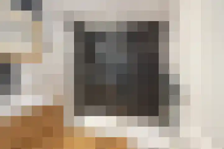 Stuivesantplein 7 Tilburg thumbnail 27