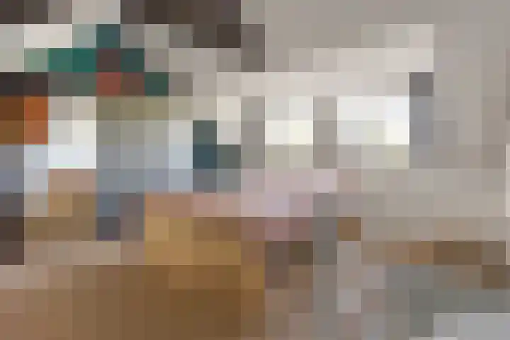 Stuivesantplein 7 Tilburg thumbnail 29
