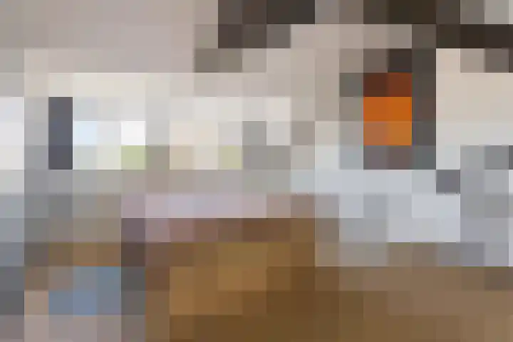 Stuivesantplein 7 Tilburg thumbnail 30