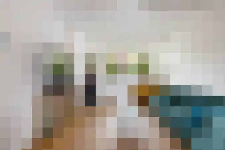 Stuivesantplein 7 Tilburg thumbnail 4