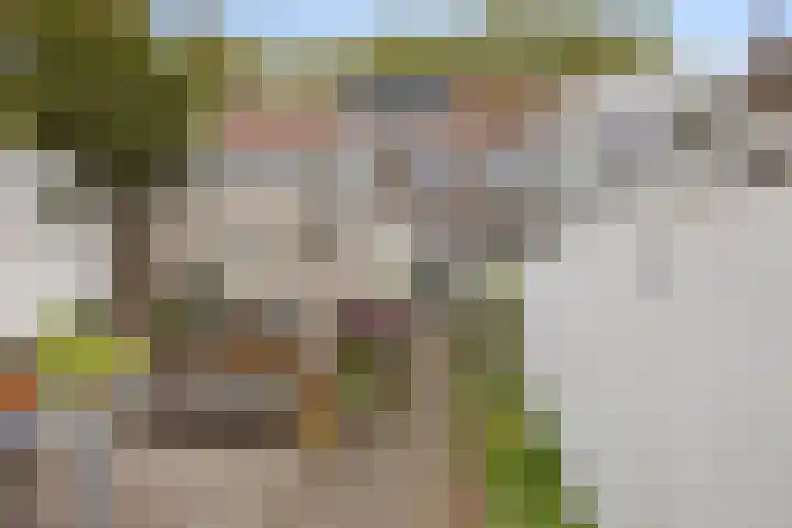 Stuivesantplein 7 Tilburg thumbnail 41