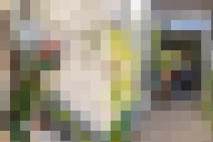 Stuivesantplein 7 Tilburg thumbnail 42