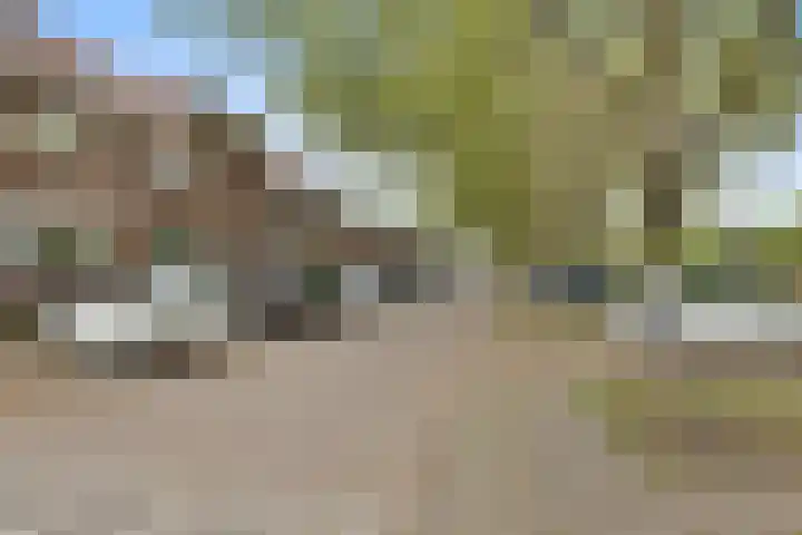 Stuivesantplein 7 Tilburg thumbnail 46