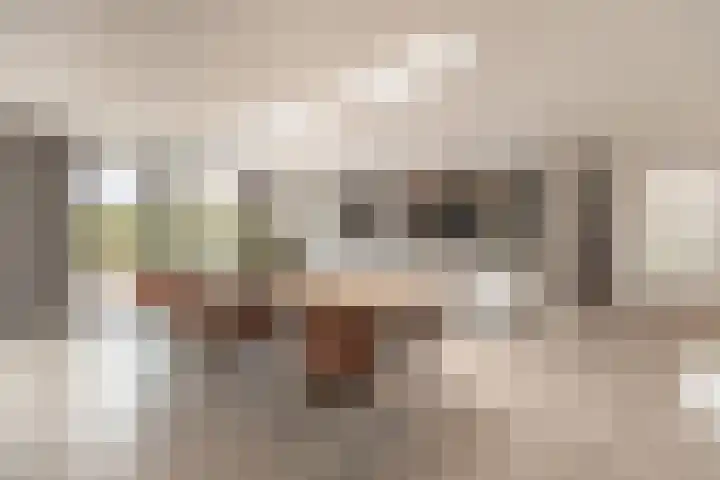 Stuivezandseweg 3 Klein Zundert thumbnail 15