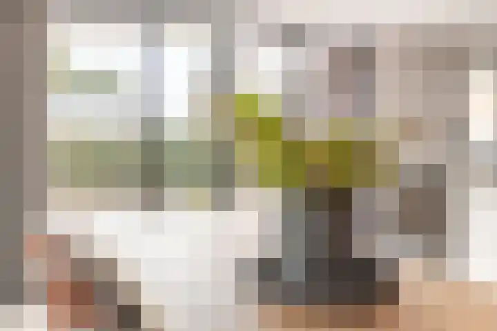 Stuivezandseweg 3 Klein Zundert thumbnail 19