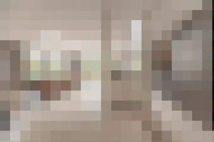 Stuivezandseweg 3 Klein Zundert thumbnail 20