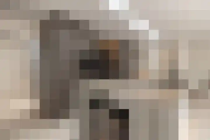 Stuivezandseweg 3 Klein Zundert thumbnail 24