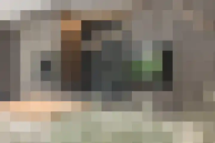 Stuivezandseweg 3 Klein Zundert thumbnail 25