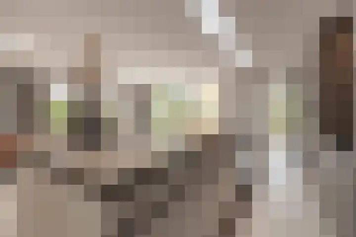 Stuivezandseweg 3 Klein Zundert thumbnail 26