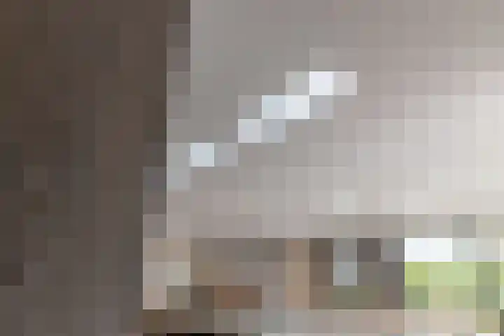 Stuivezandseweg 3 Klein Zundert thumbnail 30