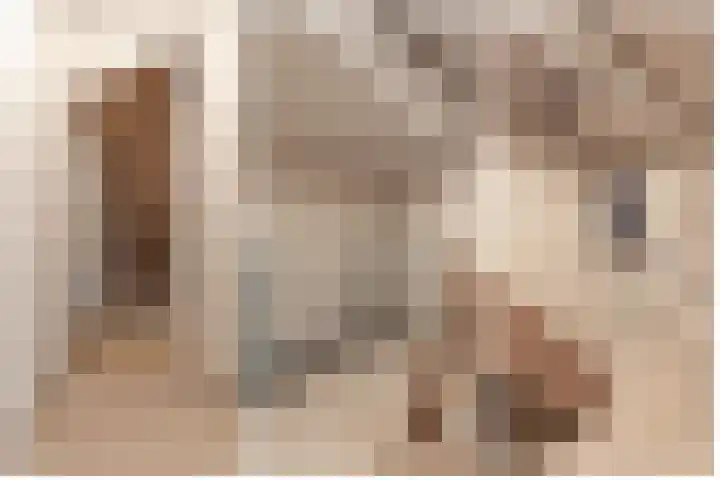 Stuivezandseweg 3 Klein Zundert thumbnail 31
