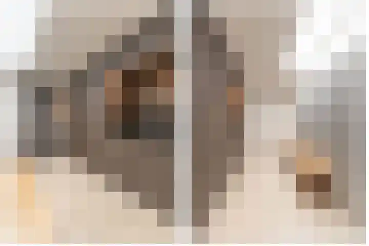Stuivezandseweg 3 Klein Zundert thumbnail 32