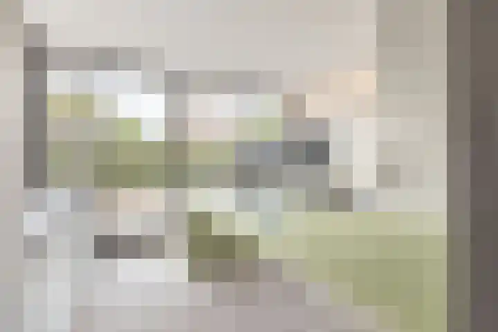 Stuivezandseweg 3 Klein Zundert thumbnail 35