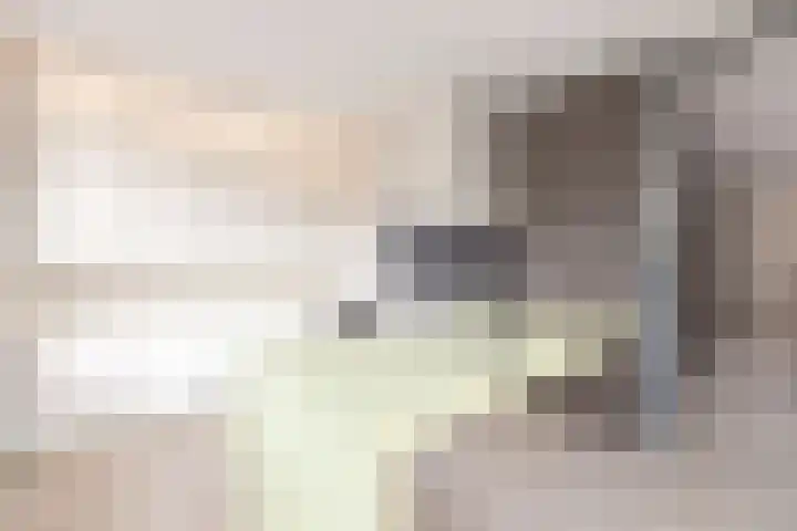 Stuivezandseweg 3 Klein Zundert thumbnail 37