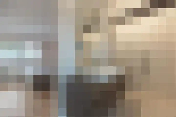 Stuivezandseweg 3 Klein Zundert thumbnail 43