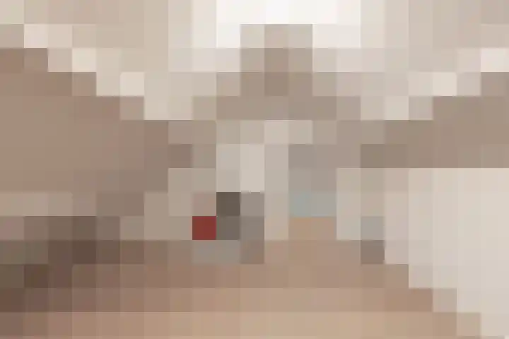 Stuivezandseweg 3 Klein Zundert thumbnail 54